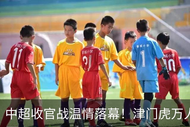 中超收官战温情落幕！津门虎万人远征护航，残阵迎战大连英博