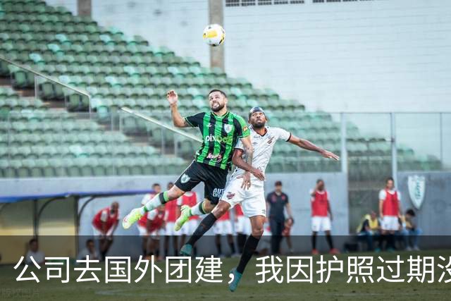公司去国外团建，我因护照过期没去成，一周后我懵了：他们失联了