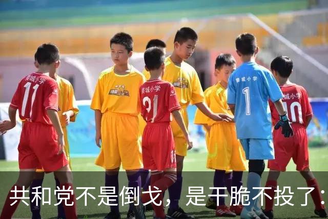 共和党不是倒戈，是干脆不投了：2026中期选举的暗流比民调吓人