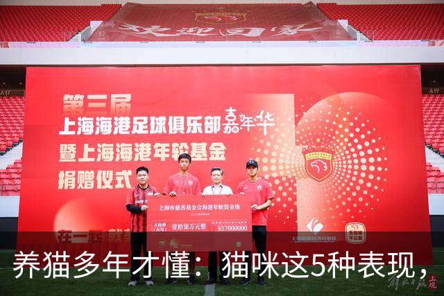 养猫多年才懂：猫咪这5种表现，不是撒娇，是旺家的征兆