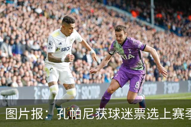 图片报：孔帕尼获球迷票选上赛季德甲最佳主帅