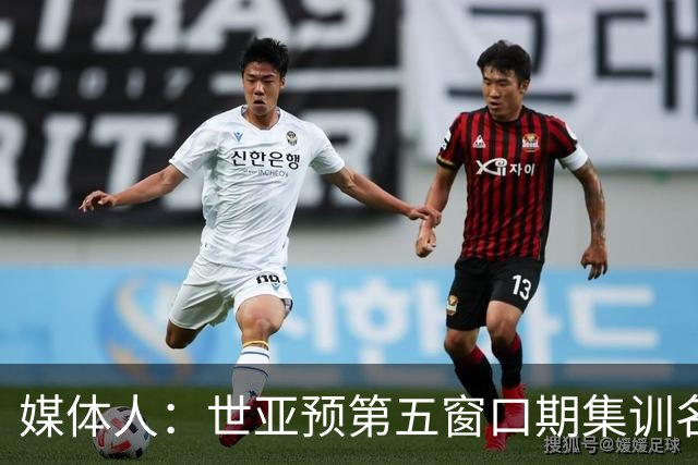 媒体人：世亚预第五窗口期集训名单已定，祝福他们