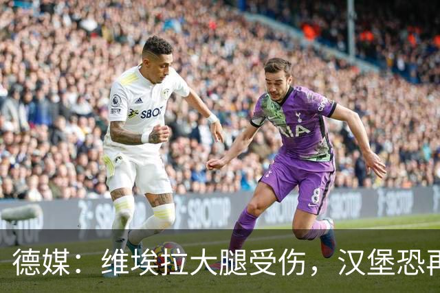 德媒：维埃拉大腿受伤，汉堡恐再失一名核心球员