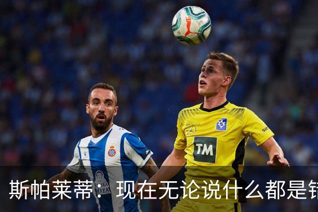斯帕莱蒂：现在无论说什么都是错；我们在各方面付出得都太少