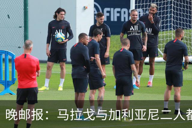 晚邮报：马拉戈与加利亚尼二人都尚未获得11家意甲俱乐部支持