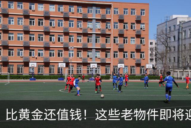 比黄金还值钱！这些老物件即将迎来涨价潮，千万别随手当废品扔掉