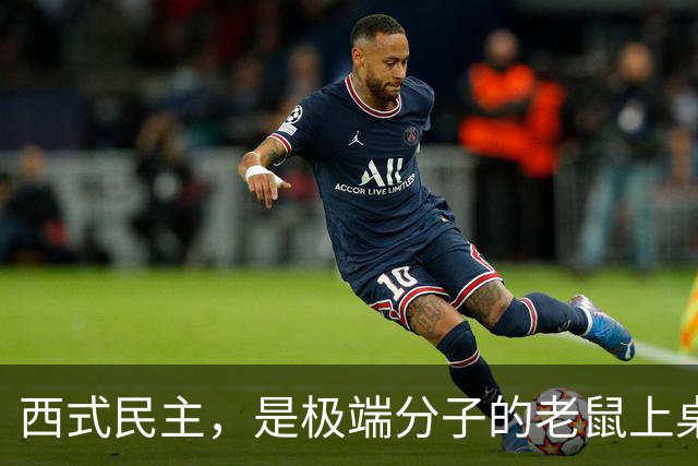 西式民主，是极端分子的老鼠上桌