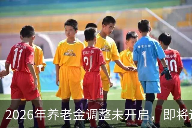2026年养老金调整未开启，即将迎来人社部第三季度会议，会提及吗