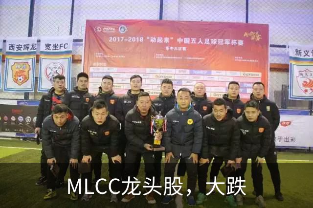 MLCC龙头股，大跌